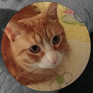 Meet your Posher, Adrianne